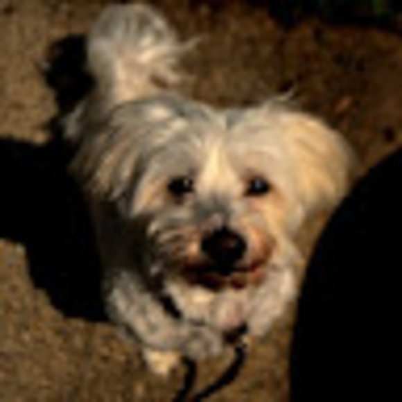 Meet your Posher, Patricia - Picture 1 of 1